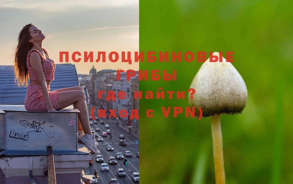 марихуана Богородск