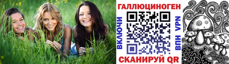 Галлюциногенные грибы Psilocybine cubensis  Балашиха 